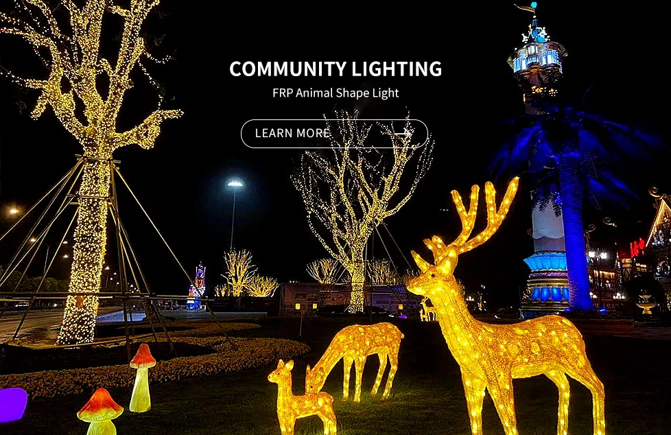 Festival Decorative Lighting Project