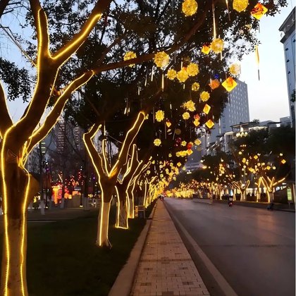 Municipal & Street Lighting