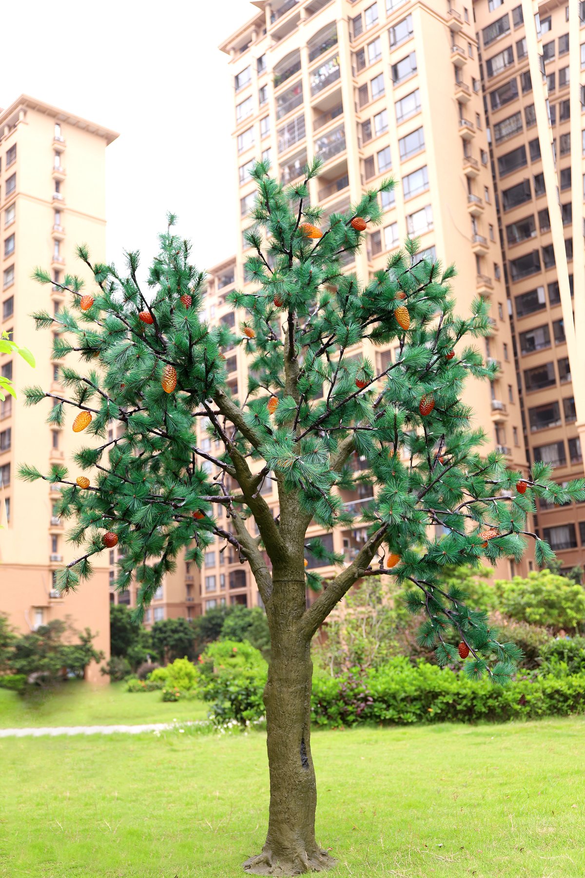 Forest Trail and Tree Lighting Solution
