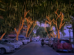 Tree Canopy Boulevard Lighting Solution