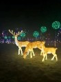 Animal Lantern Route Lighting Solution