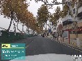 Commercial Street Decorative Tree Lighting Solution